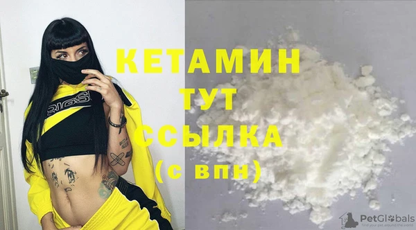 крисы Няндома