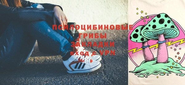мдпв Нязепетровск