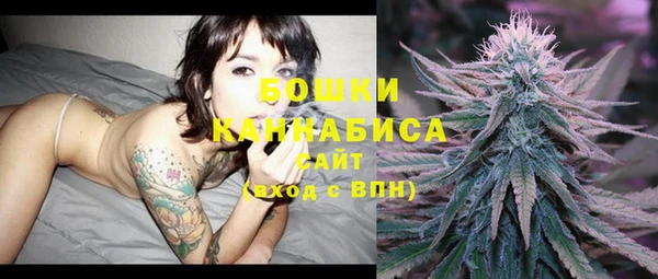 стафф Новодвинск