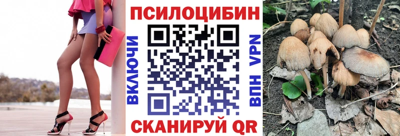 где продают   Невельск  Галлюциногенные грибы GOLDEN TEACHER 